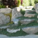 Rock wall and boulder steps overgrown and landscaped