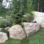 Boulders placed along with trees and shrubs